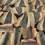 bisnis ikan asin